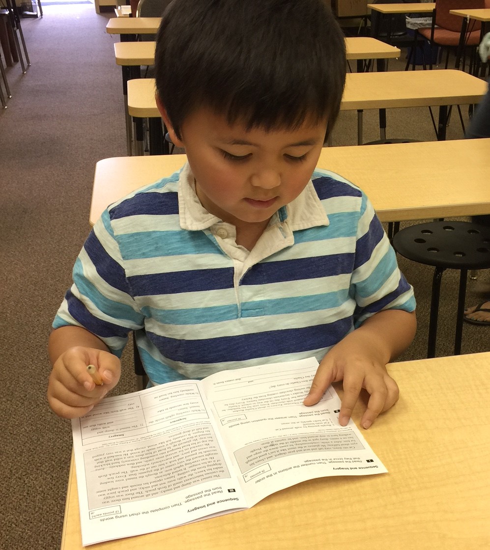 What Grade Level Is D2 In Kumon what-grade-level-is-d2-in-kumon