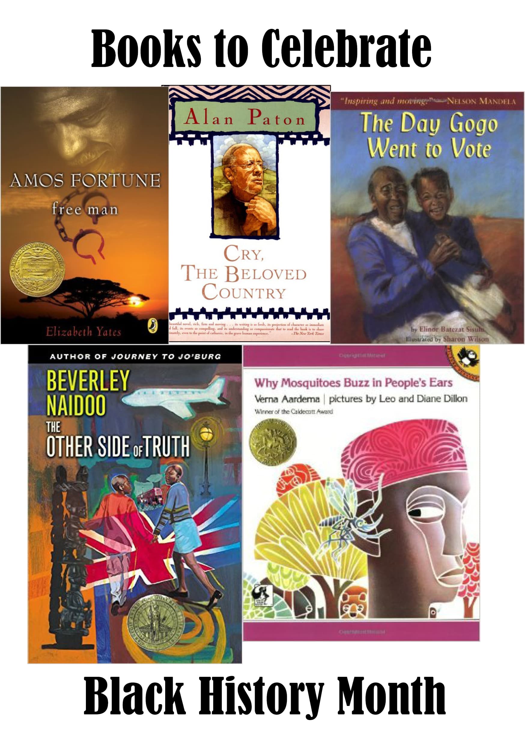 Black History Books For Teens / The best new books for Black History