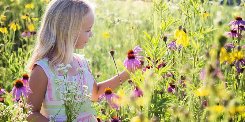 Young girl looks at wildflowers in a field
