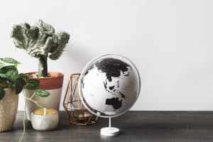plants and globe on a desk