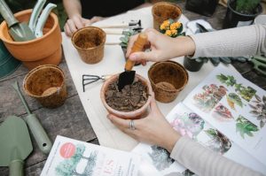 preparing plant pots 