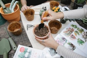 preparing plant pots