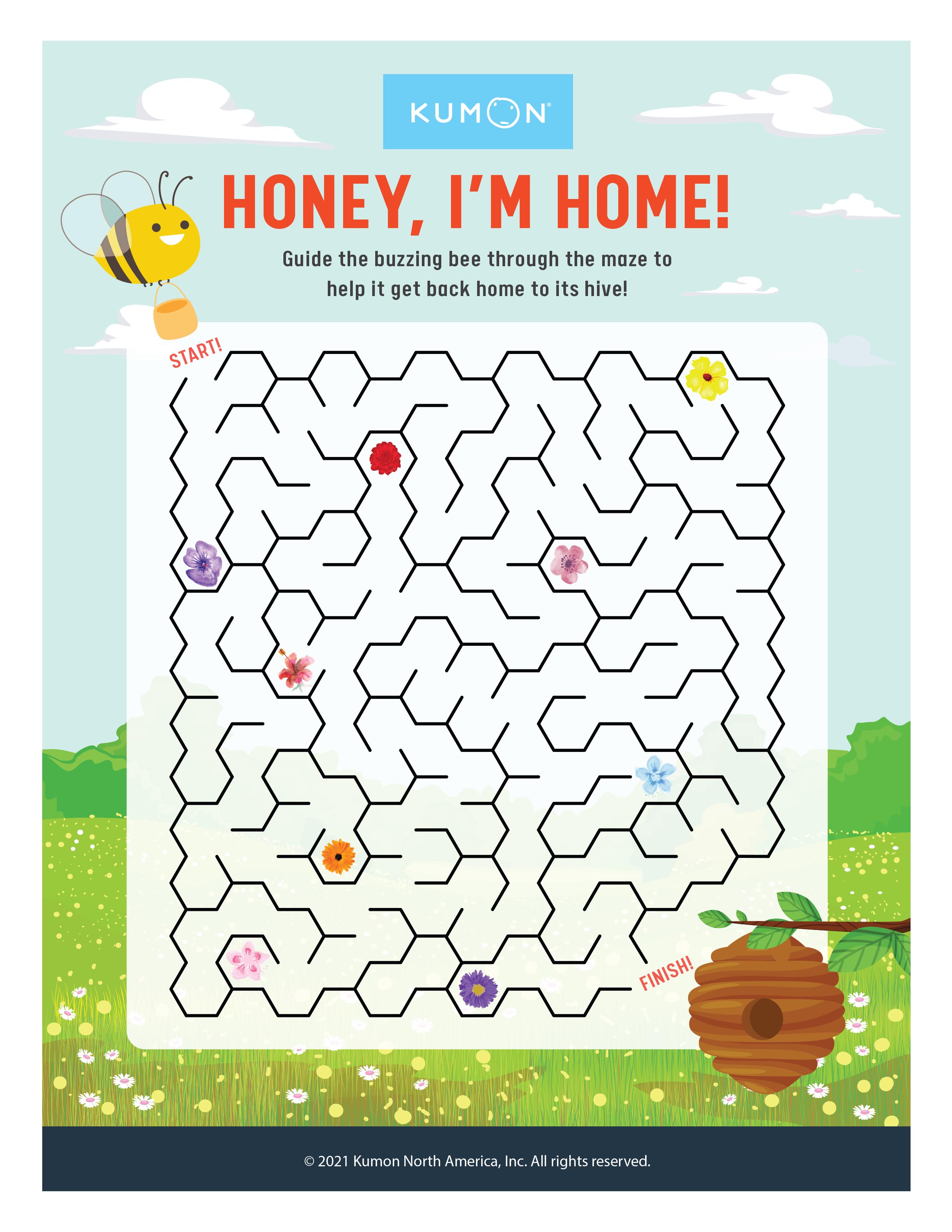 Summer Themed Maze - Student Resources