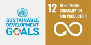 How Kumon’s Virtual Centers Support Sustainable Development Goal #12 