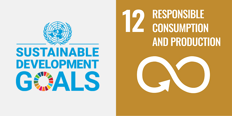 12: Responsible Consumption and Production